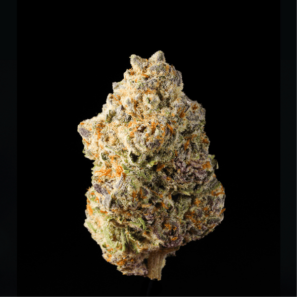 Lost In Translation Government Oasis THCA Flower Reviews
