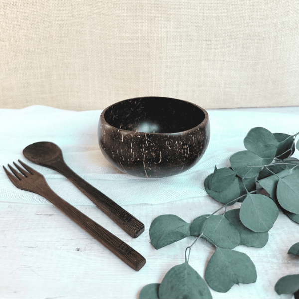 Love Coco Natural Coconut Bowl Review