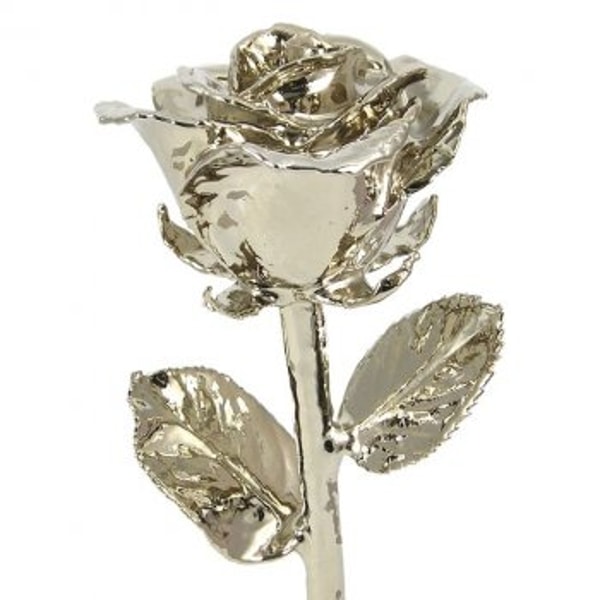 LoveIsARose.com Platinum Rose Review
