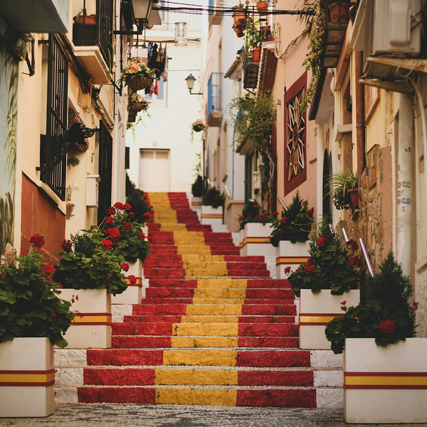 Loveit Coverit Travel Insurance Review