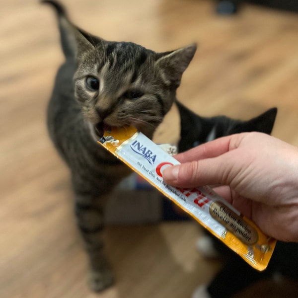 Lucky Cookie Beoordeling