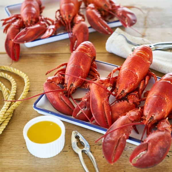 Luke's Lobster Live Maine Lobster - 1.25 - 1.5 lb Review