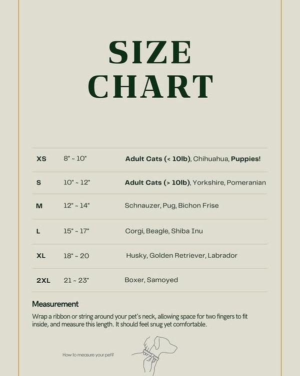 Sizing Accuracy and Everyday Comfort
