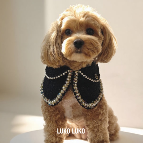 Where to buy Luko Luko Pets?