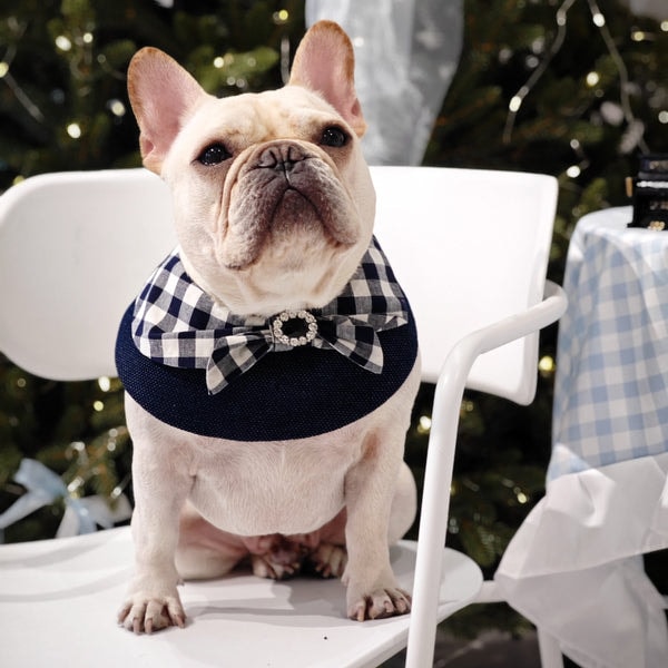 Conclusion of Luko Luko Pets reviews & ratings