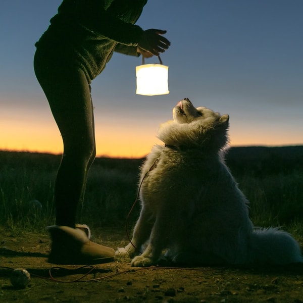 LuminAID Review
