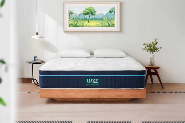 LuxeErgo 3400 Review