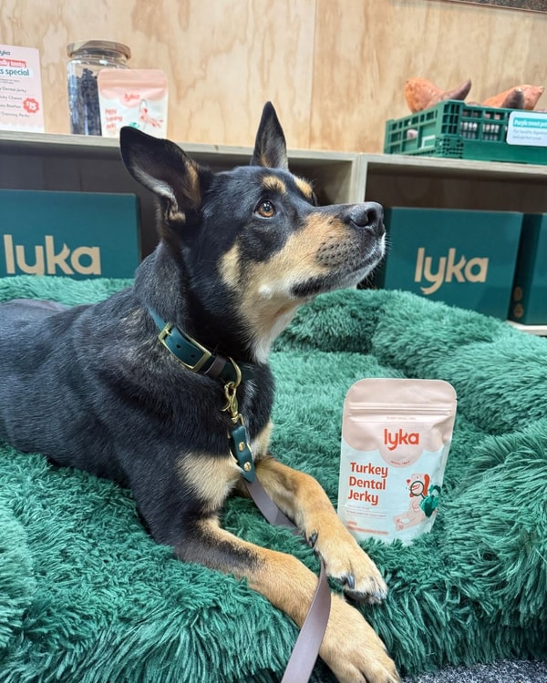 About Lyka Pet Food