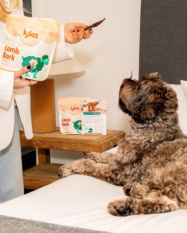 Overview of Lyka Pet Food