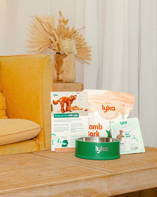 Lyka Pet Food Review