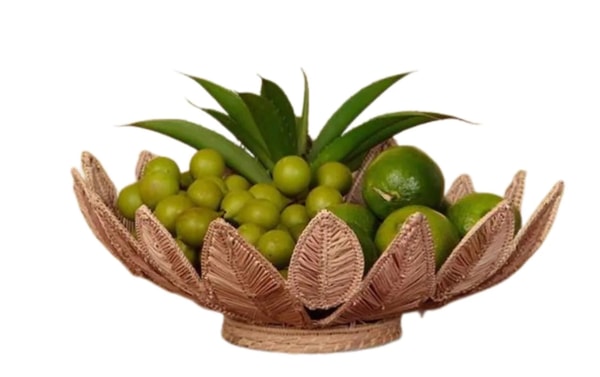 Macondo Forever Stromanthe Handwoven Iraca Centerpiece Review
