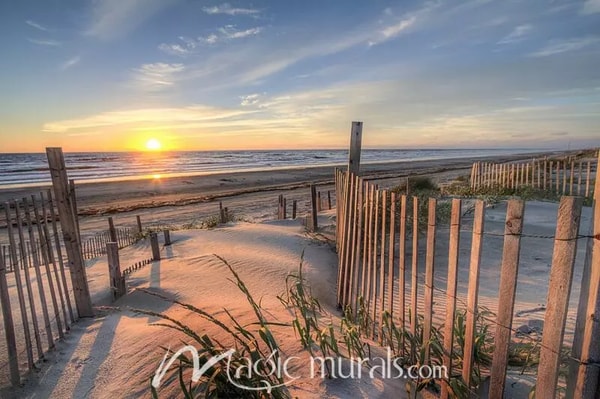 Magic Murals Sunrise at Outer Banks Review