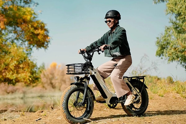 Magicycle Ocelot Pro Review