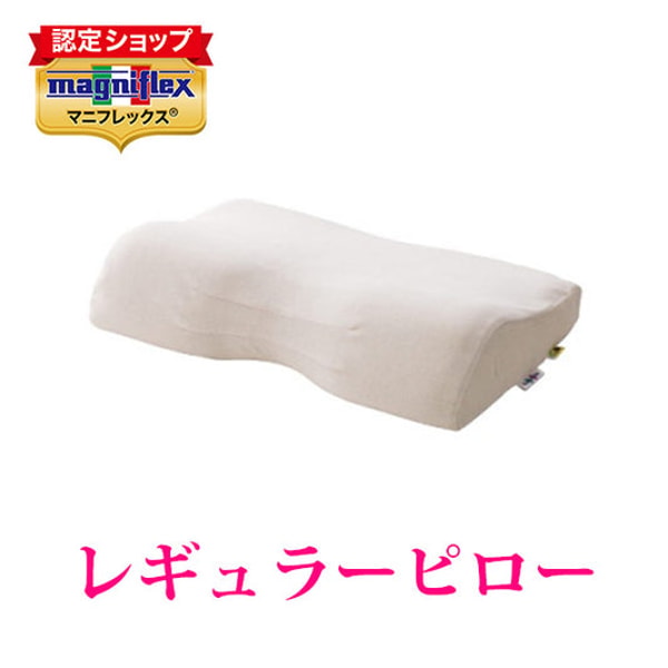 Magniflexの概要