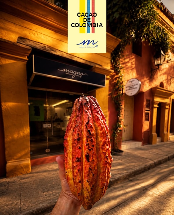 About Magno Chocolates