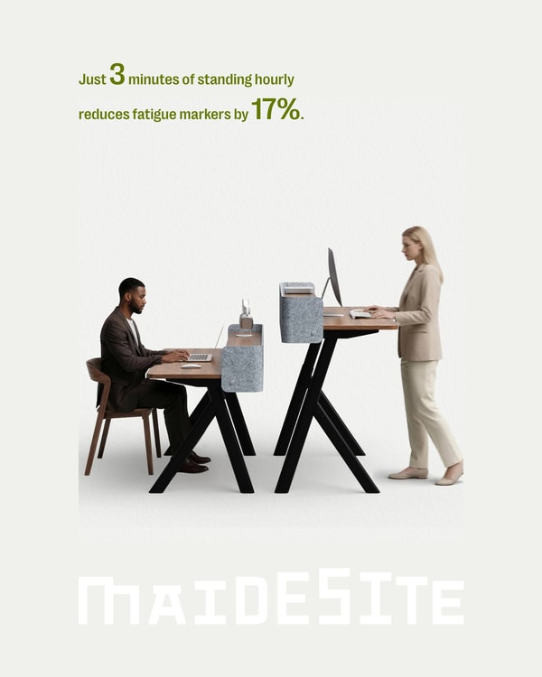 &Agrave; propos de Maidesite