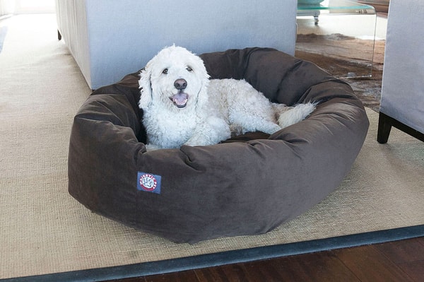 Majestic Pet Review
