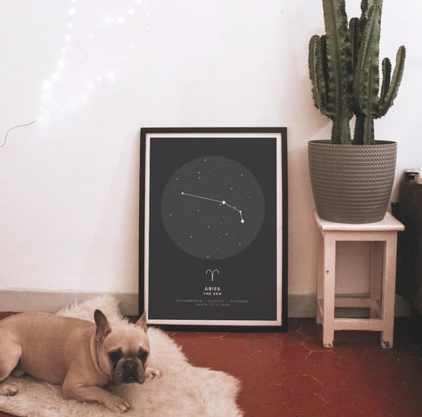 Mapiful StarMap Poster Review