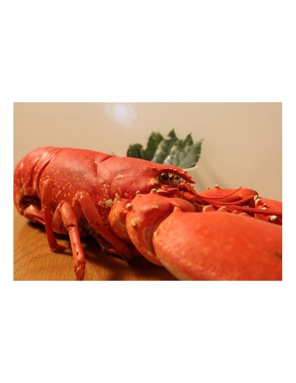 Mariscos O Grove Bogavante azul Rese&ntilde;a