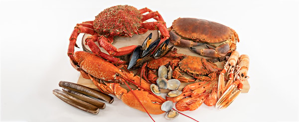Mariscos O Grove Rese&ntilde;a