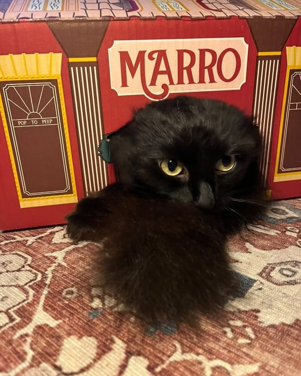 Marro Review