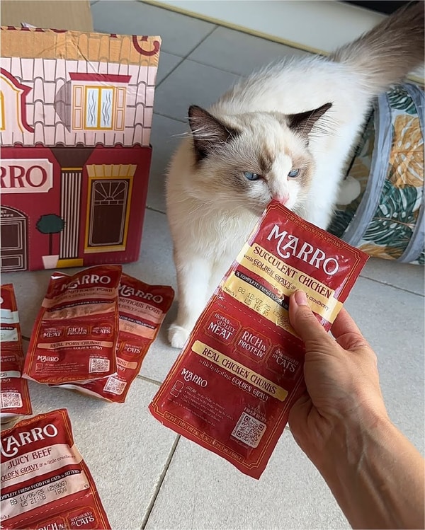 Marro Fresh Cat Meals Review