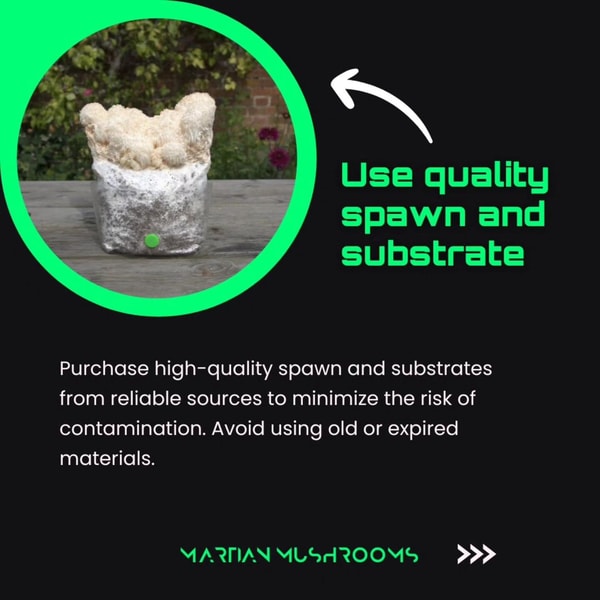 Martian Mushrooms Review