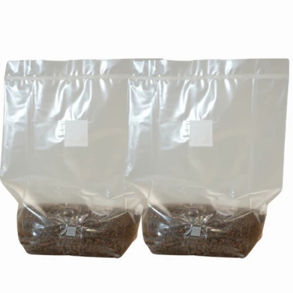 Martian Mushrooms MushBag Grow Kit Review