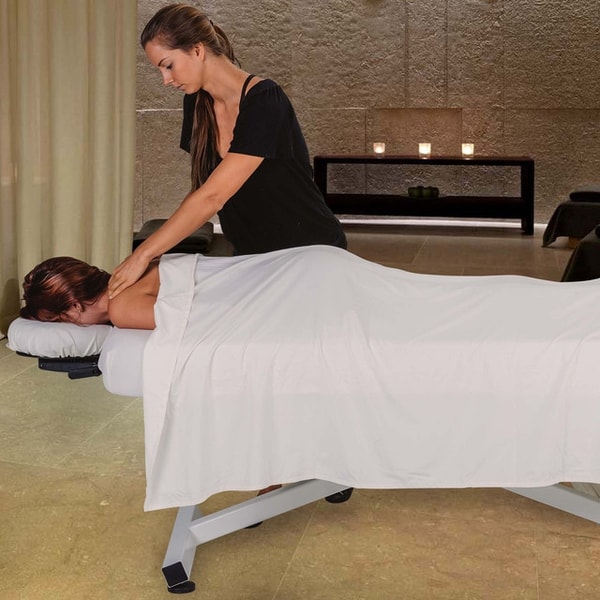 Massage Tools Earthlite Ellora Electric Lift Mobile Massage Table Reviews