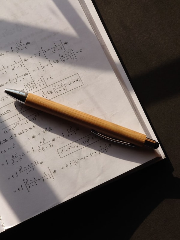 MathWiz Subscription Review