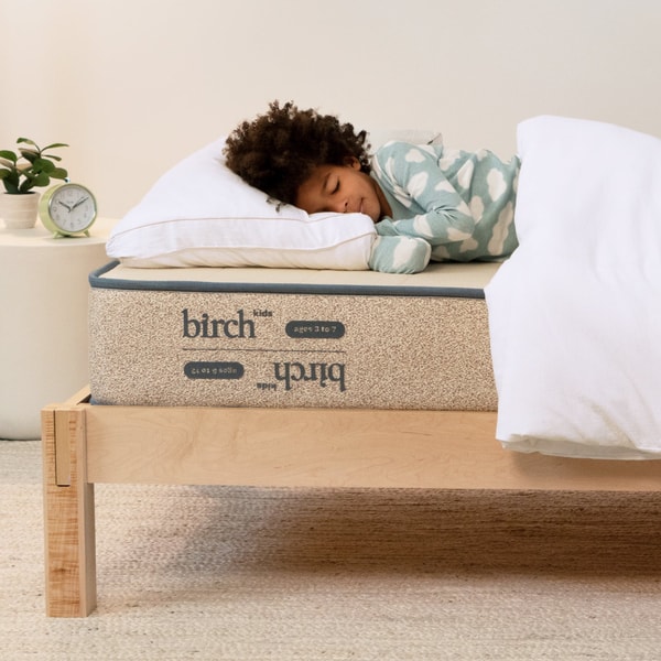 Mattress Warehouse Serta Perfect Sleeper Brookville Review