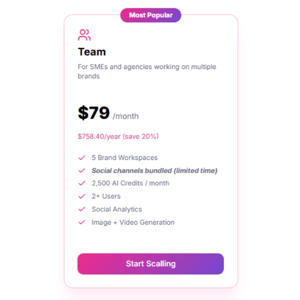 Mavic AI Team Plan Review
