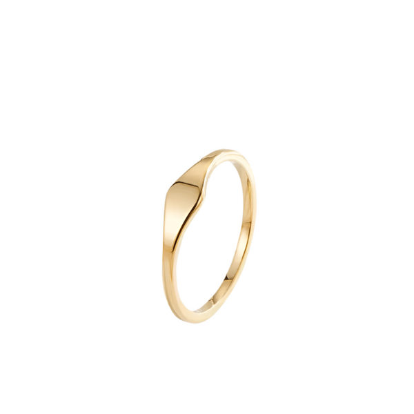 Mazin Jewels Micro Signet Ring Review
