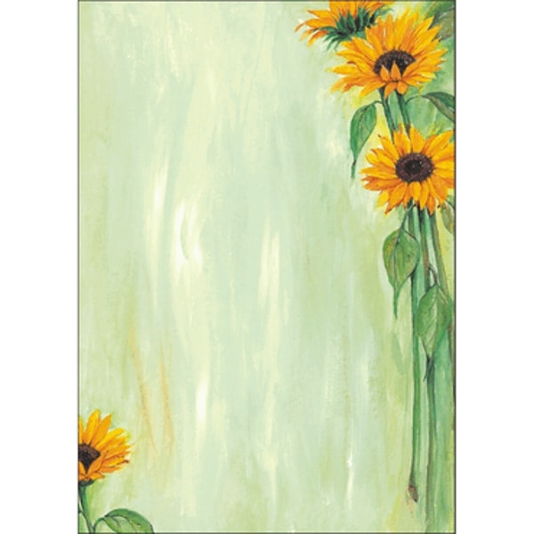 mcbuero.de Designpapier Sunflower Bewertung