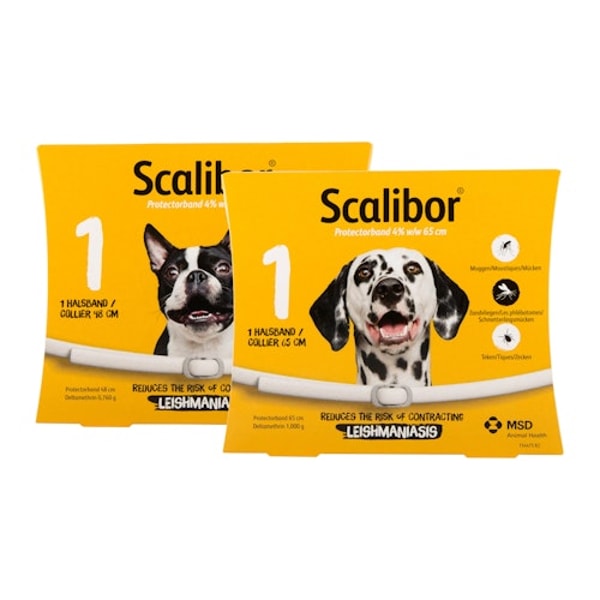 Medpets.de Scalibor Protectorband Bewertung