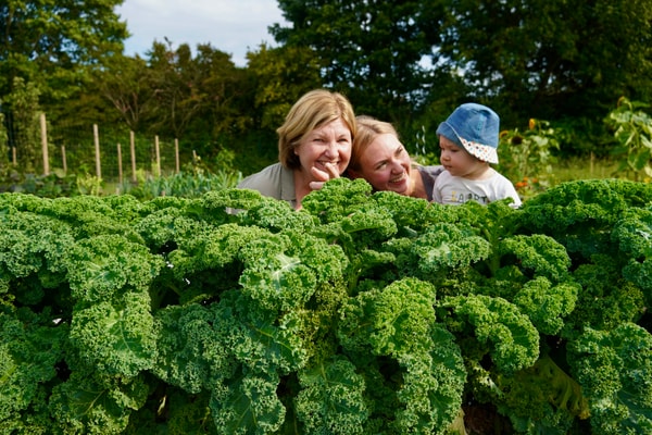 Entdecke die Welt von meine ernte