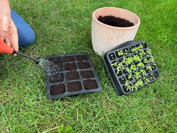 meine ernte und frische Erlebnisse
