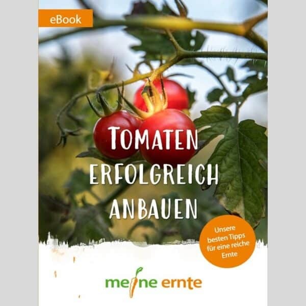 meine ernte Digitales Buch &bdquo;Tomaten erfolgreich anbauen&ldquo; Bewertung