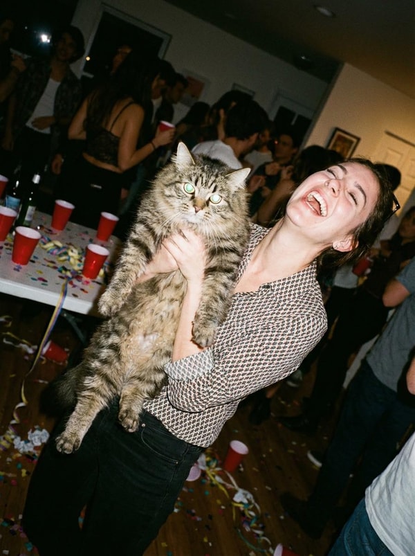 Meow Mobile Review