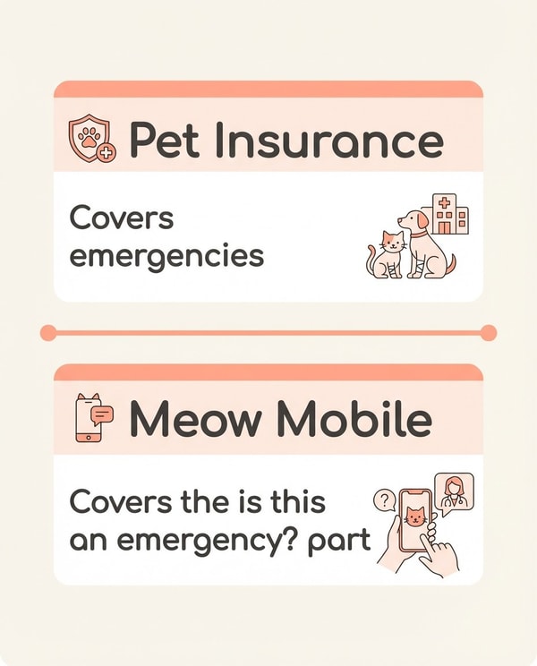Meow Mobile Plan Review