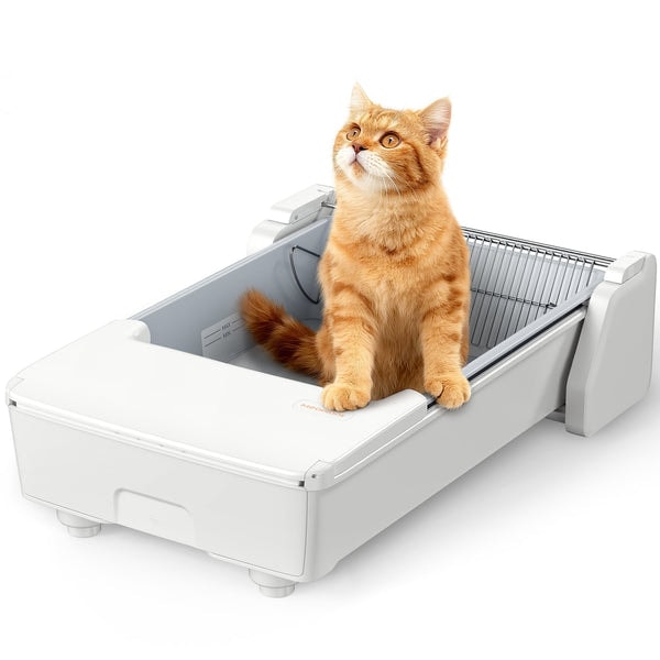 Meowant SC03 Reviews