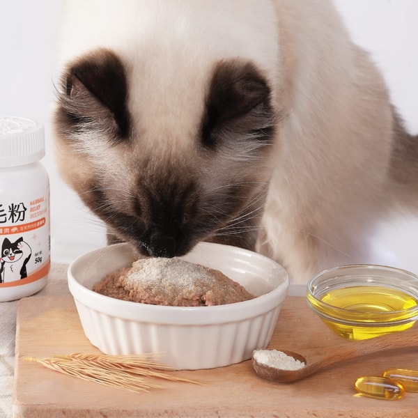 MeowZone 评测