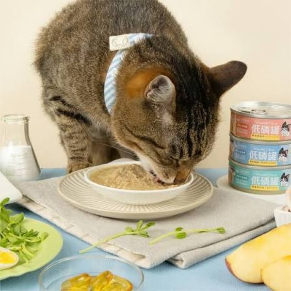 关于 MeowZone