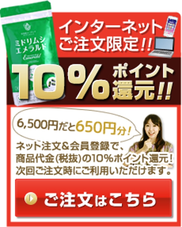 Midorimushi Senkaについて