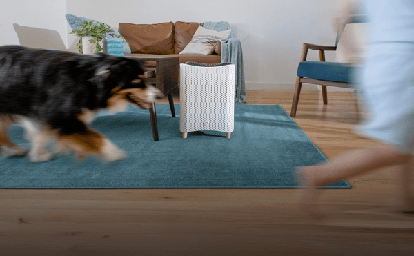 Mila Air Purifiers Review
