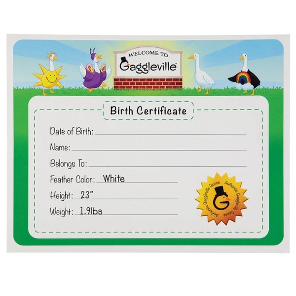 Miles Kimball Gaggleville Large Goose Birth Certificate Review