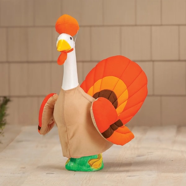 Miles Kimball Turkey Large Goose Outfit Review