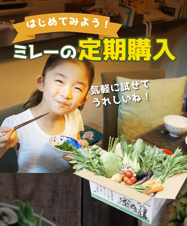 MILLET レビュー