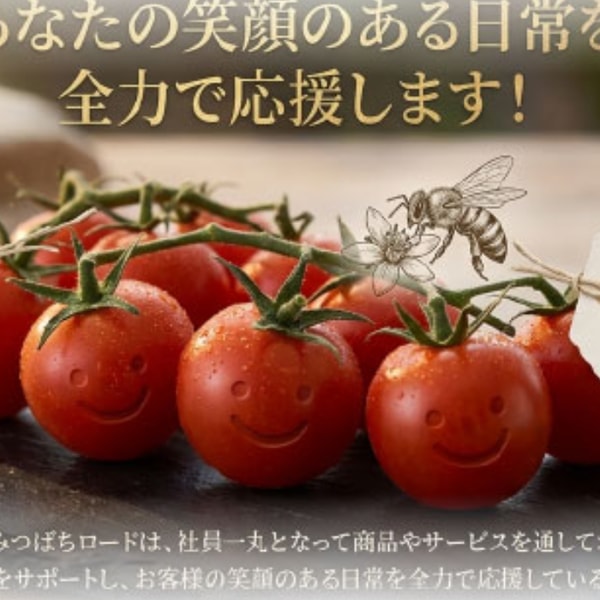 Mitsubachi Road レビュー