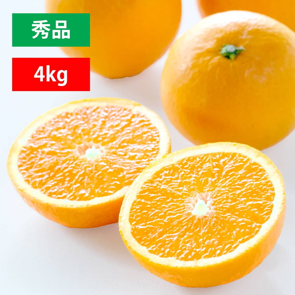 Miyamoto Orange Garden みかん寒天ゼリー レビュー